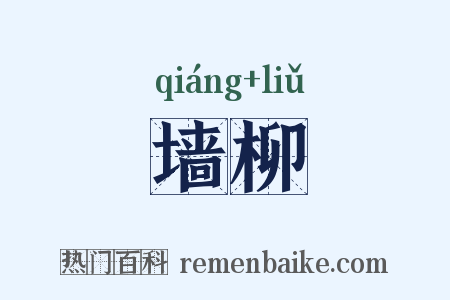 墙柳是什么意思的图片
